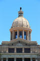 Dome of Harris County Courthouse. Houston, TX.