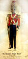 Houston Light Guard uniform graphic at Buffalo Soldiers National Museum. Houston, TX.