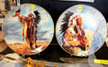 American Indian Heritage Foundation commemorative plates at Buffalo Soldiers National Museum. Houston, TX.