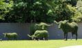 Topiary longhorns on mansion lawn opposite Hermann Park. Houston, TX.