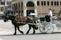 Horse drawn carriage on Congress Ave. Austin, TX.