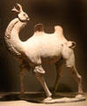 Tang dynasty earthenware camel from China at San Antonio Museum of Art. San Antonio, TX
