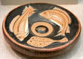 Greek terracotta red-figure fish plate from Southern Italy at San Antonio Museum of Art. San Antonio, TX.