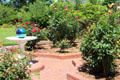 Rose garden at McFaddin-Ward House. Beaumont, TX.