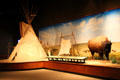 Plains diorama with teepee & bison at Mayborn Museum. Waco, TX.