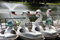Swan boats in lagoon at Fair Park. Dallas, TX.
