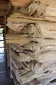 Crape myrtle tree trunk log cabin walls of Frederick Jourdan homestead at Pioneer Farms. Austin, TX.