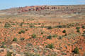 Fiery Furnace landscape at Arches National Park. UT.