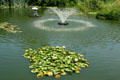 Water lilly pond at Taiwan Friendship Pavilion. Norfolk, VA.