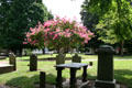 St John's Episcopal Church graveyard. Richmond, VA.