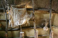 Fur drying in Indian hut at Henricus. VA.