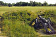 Second allied siege line looking at British lines on Yorktown Battlefield. Yorktown, VA.