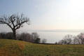 View of Potomac River from Mt Vernon. Washington, VA.