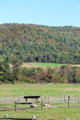 Forested hills at Billings Farm & Museum. Woodstock, VT.