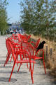 Crow enjoys row of public chairs at Olympic Sculpture Park. Seattle, WA.
