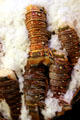 Lobster tails in Pike Place Market. Seattle, WA.
