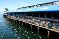 Patrons eating seafood at Ivars dock. Seattle, WA.