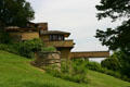 Cantilevered bridge off Taliesin allowed Wrights to observe bird life at canopy level. WI.