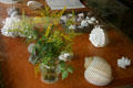 Shell & flower arrangement in Taliesin. WI.