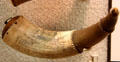 Powder horn with nautical theme inscribed "Iabez Hall, His Horn at Huntington Museum of Art. Huntington, WV.