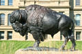 Bison statue by Dan Ostermiller at Wyoming State Capitol. Cheyenne, WY.
