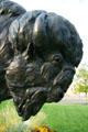 Detail of Bison statue by Dan Ostermiller at Wyoming State Capitol. Cheyenne, WY