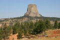 Devils Tower above pines. WY.