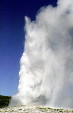 Old Faithful Geyser in Yellowstone National Park. WY