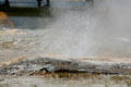 Hot water explodes in Old Faithful area of Yellowstone National Park. WY.
