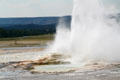 Geyser spouts along Fountain Paint Pots trail at Yellowstone National Park. WY.