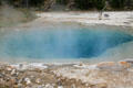 Deep-blue pool steams at Yellowstone National Park. WY.