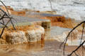 Colored pools of Minerva Terrace of Mammoth Hot Springs at Yellowstone National Park. WY.