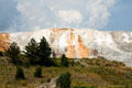 Minerva Terrace ridge of Mammoth Hot Springs in Yellowstone National Park. WY.