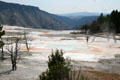 Walkways over Minerva Terrace of Mammoth Hot Springs in Yellowstone National Park. WY.