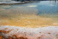 Colored pools around Mammoth Hot Springs in Yellowstone National Park. WY.