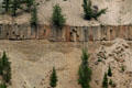 Regular basalt layer in canyon wall provides evidence of the volcanic nature of Yellowstone National Park. WY