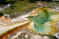 Plants around boiling colored pool of West Thumb Geyser Basin on Yellowstone Lake in Yellowstone National Park. WY.