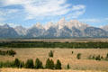 Snake River Valley of Grand Teton National Park. WY.