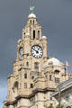 One of two clock towers crowned by mythical Liver Birds distinguishes Royal Liver Building. Liverpool, England