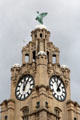 Mythical Liver Bird atop Royal Liver Building clock tower. Liverpool, England.