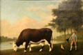 Lincolnshire Ox painting by George Stubbs at Walker Art Gallery. Liverpool, England.