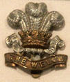 Welsh Regiment Cap Badge in Military Museum at Cardiff Castle. Cardiff, Wales.