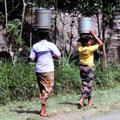Balinese women carrying water on head. Bali, Indonesia.