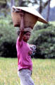 Balinese woman carrying basket of goods on head. Bali, Indonesia.