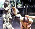 Monkey climbs on visitor at Balinese temple. Bali, Indonesia.