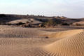 Shifting shapes of Sam Sand Dunes with camels in distance. India.