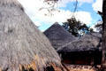 Craft village in Victoria Falls, demonstrating variety of thatch roofs & indigenous cultures of region. Zimbabwe.
