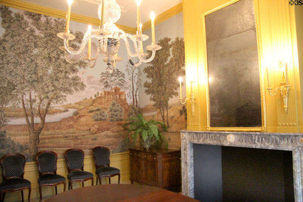 Mural & glass chandelier in home of Pieter Teyler at Teylers Museum. Haarlem, Netherlands.
