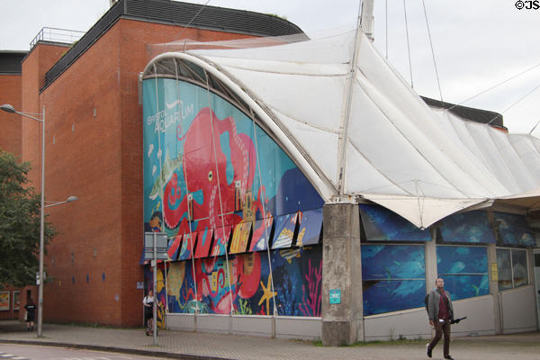 Giant octopus mural at Bristol Aquarium. Bristol, England.